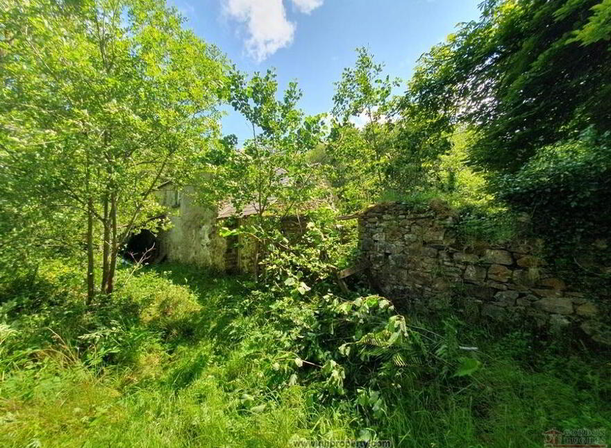 Drumaragh, Keshcarrigan, N41KD23
