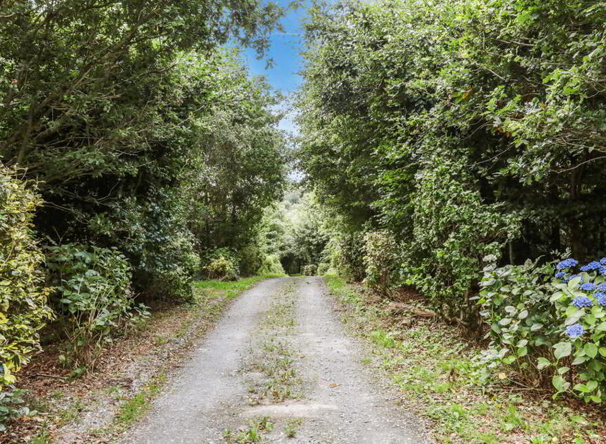 31 Cabra Road, Hillsborough, BT26 6NB