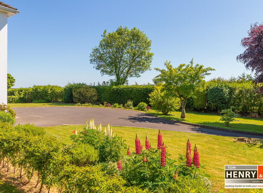 47 Killymeal Road, Dungannon, BT71 6LJ