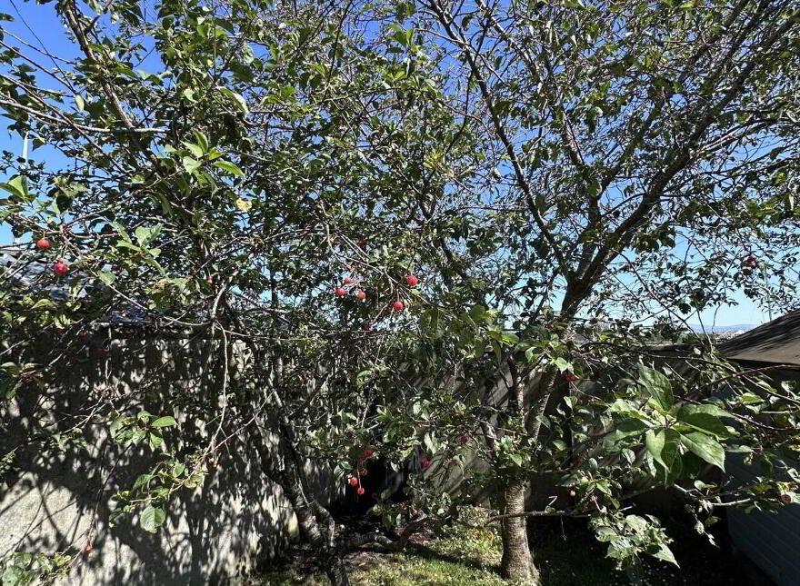 60 Chambers Park, Kilcock, W23EP23