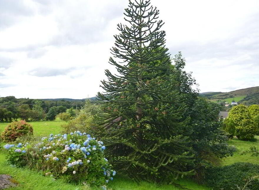 Meenahalla, Glenties, F94PC89
