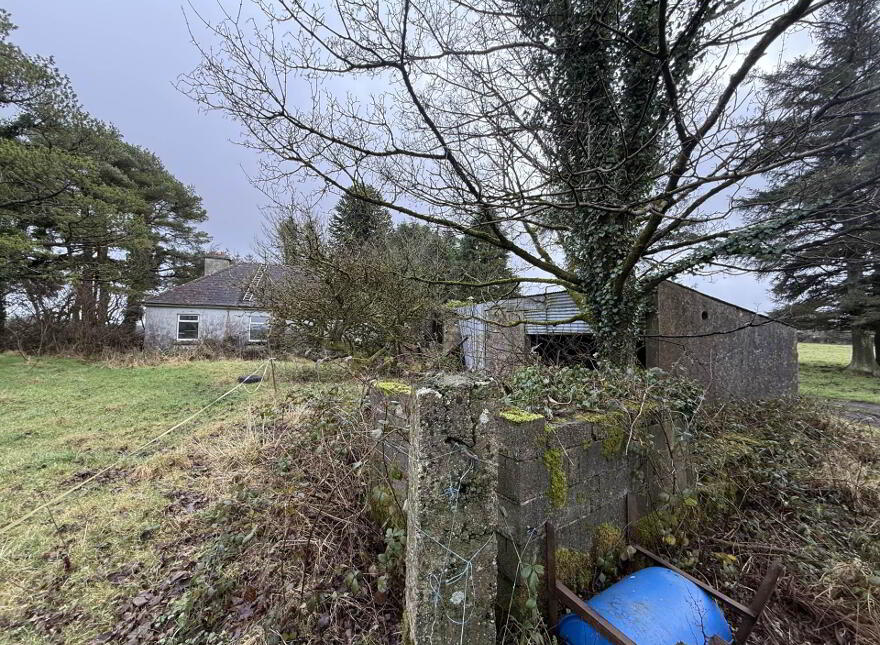 Moigh Lower, Ballyhaunis, Cloonfad, F35DW96