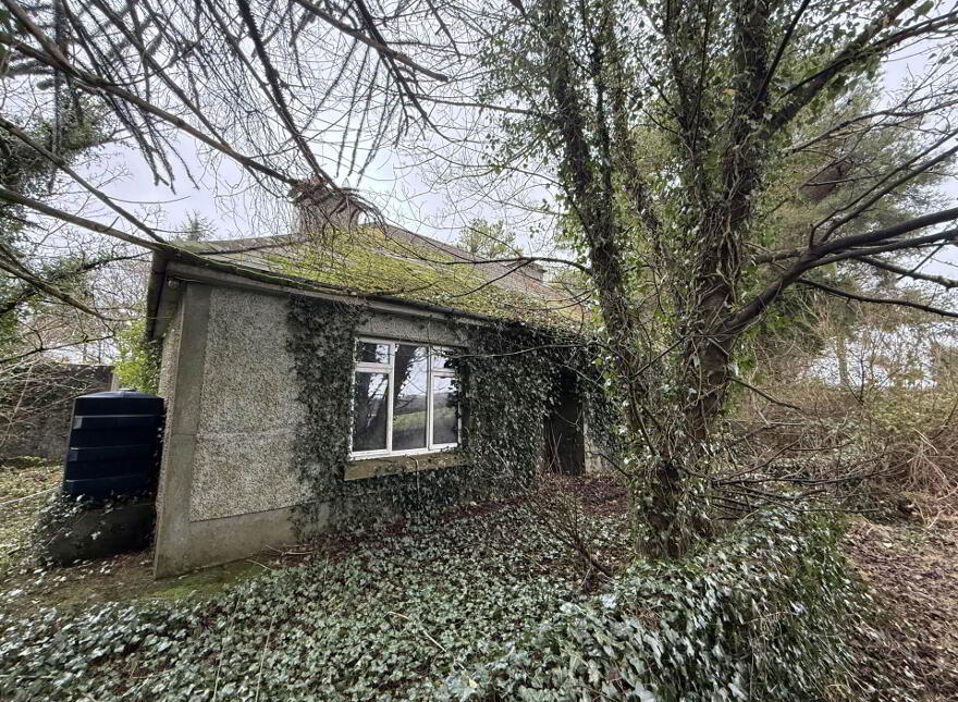 Moigh Lower, Ballyhaunis, Cloonfad, F35DW96