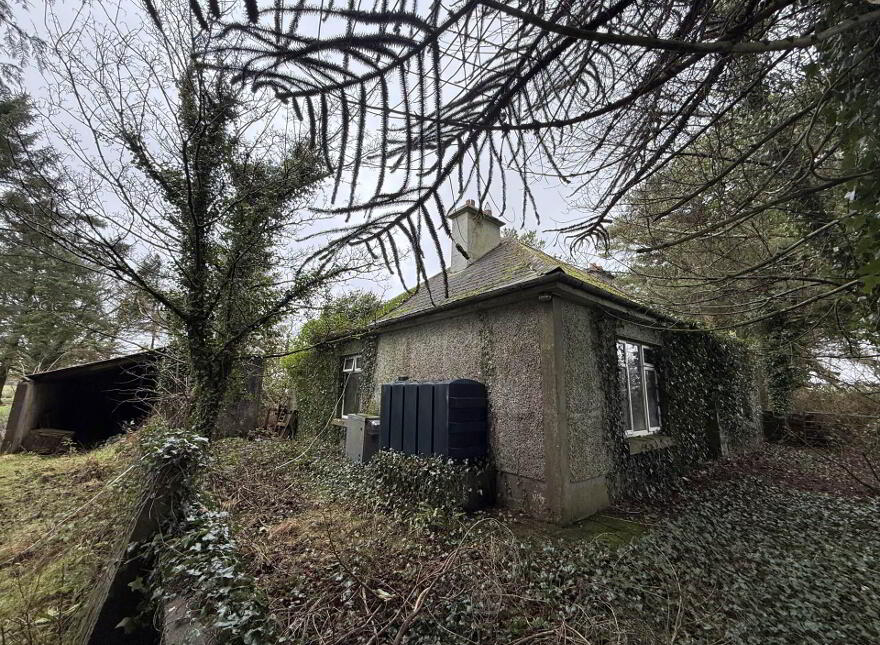 Moigh Lower, Ballyhaunis, Cloonfad, F35DW96