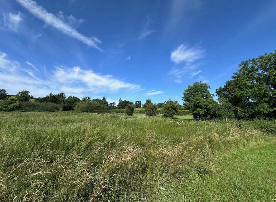 Agricultural Lands, Edenbrone, Castleshane