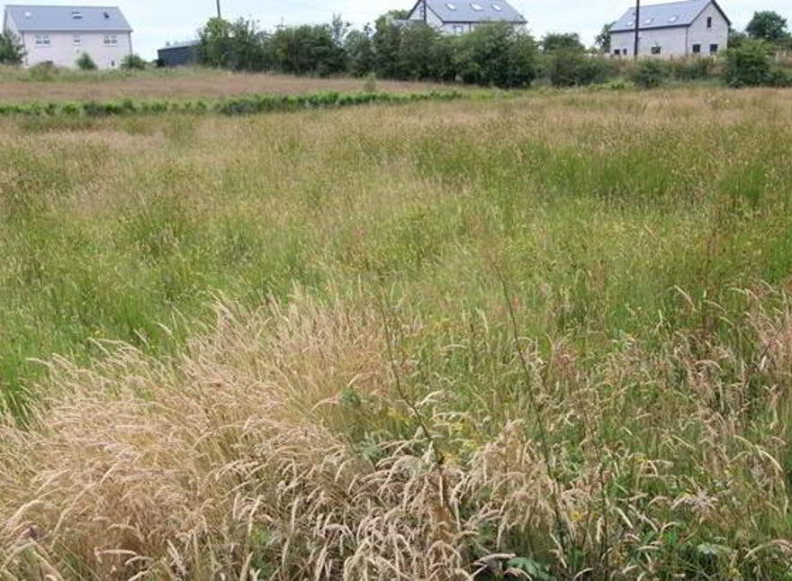 Site B Corleadargan, Castleblayney, Monaghan photo
