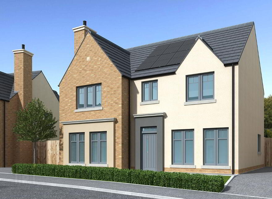 The Elder, Woodland Grange, Ballygowan Road, Comber photo