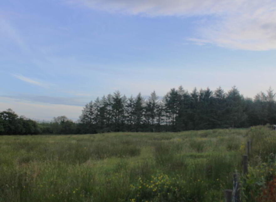 Stralongford, Drumkeen photo