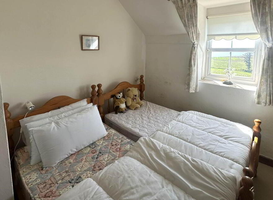Ard Na Smol, Toe Head, Castletownshend, P81Y407