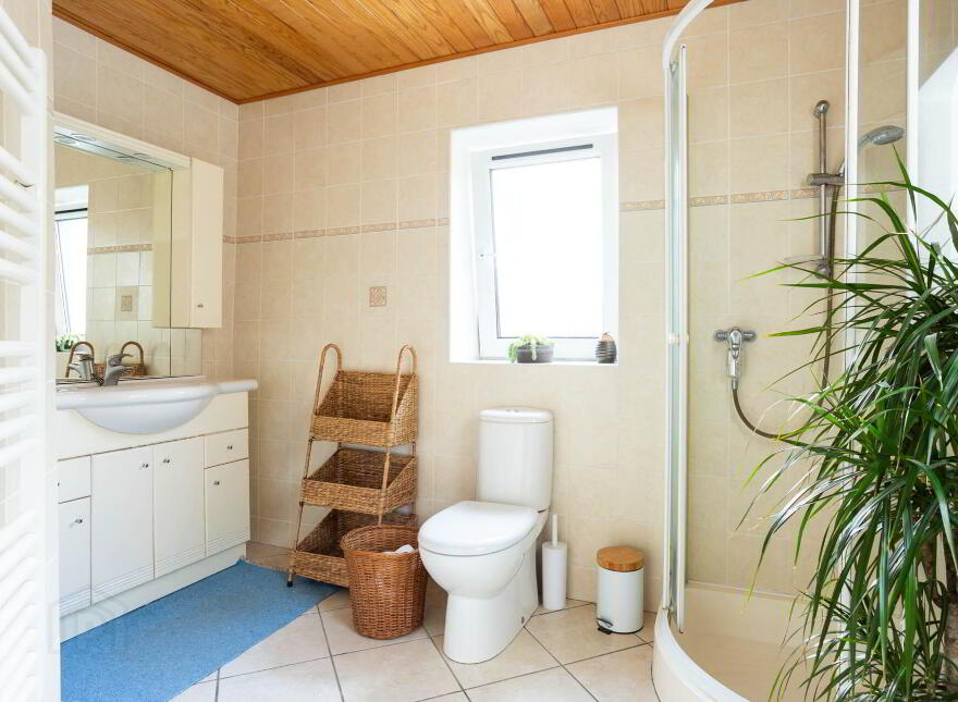 Derrycarhoon, Ballydehob, P81DN73