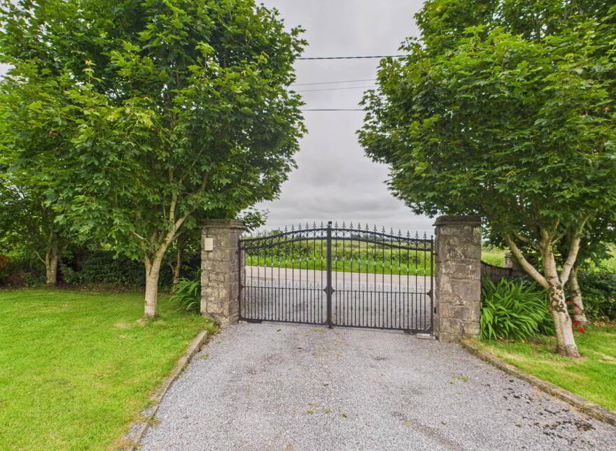 Slatt Lower, Ballylynan, R14PX51