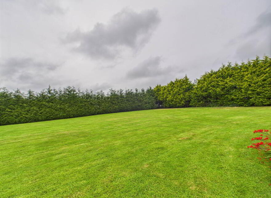 Slatt Lower, Ballylynan, R14PX51