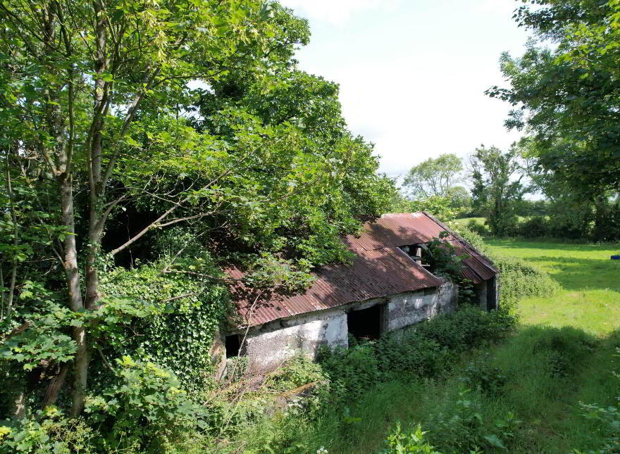 Raheen, Ballyneety