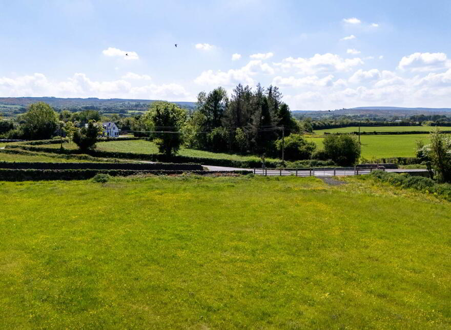 Tinnahinch, Rosenallis