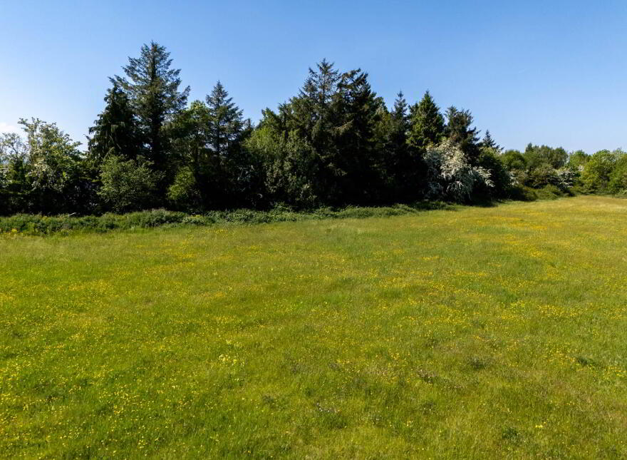 Tinnahinch, Rosenallis