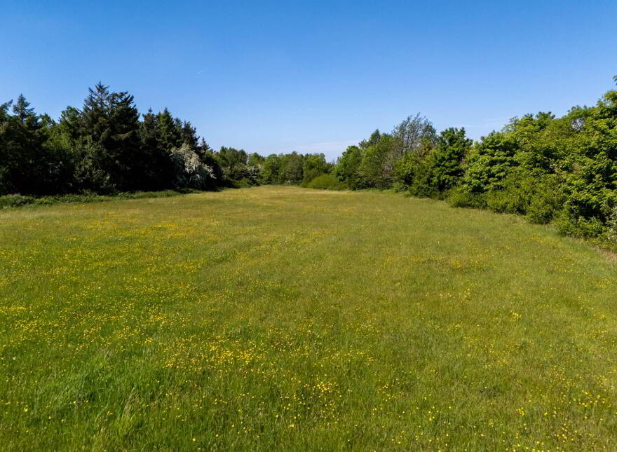Tinnahinch, Rosenallis