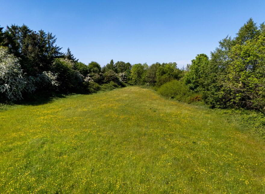 Tinnahinch, Rosenallis
