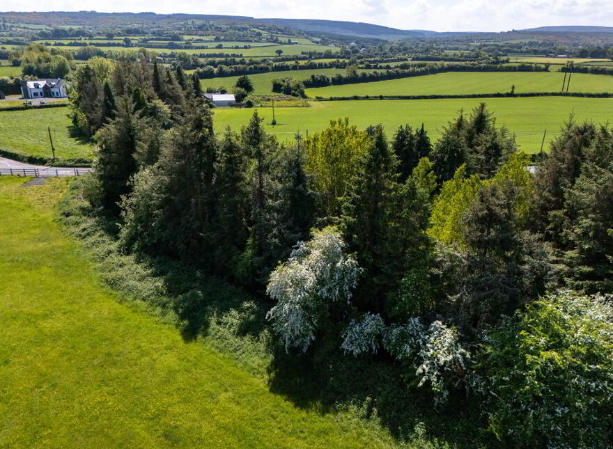 Tinnahinch, Rosenallis