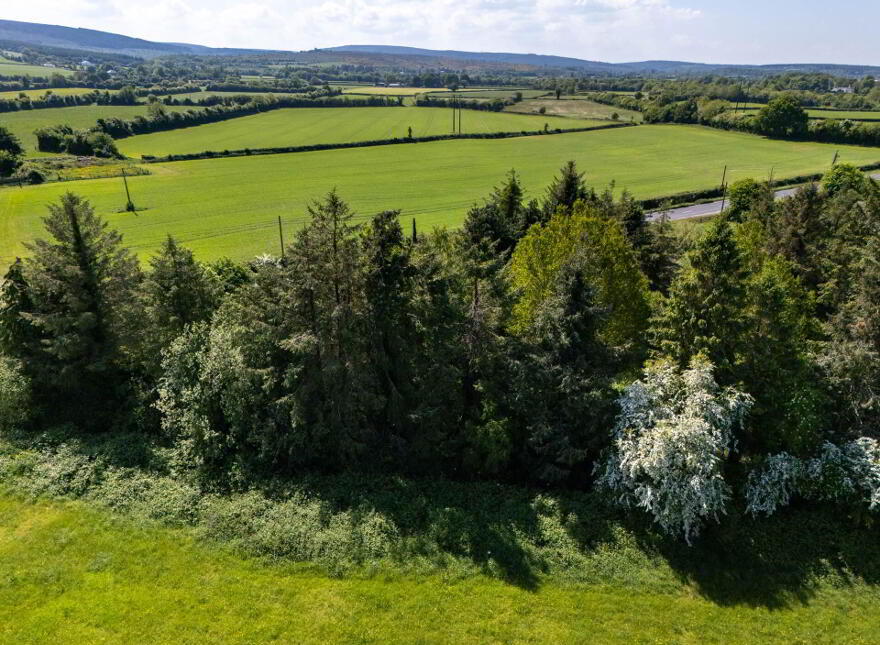 Tinnahinch, Rosenallis
