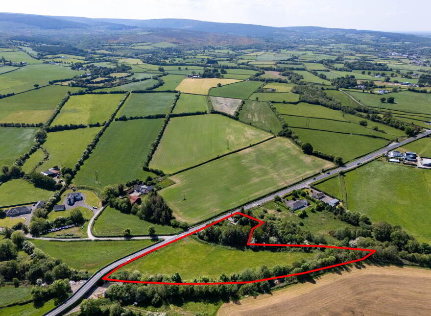 Tinnahinch, Rosenallis