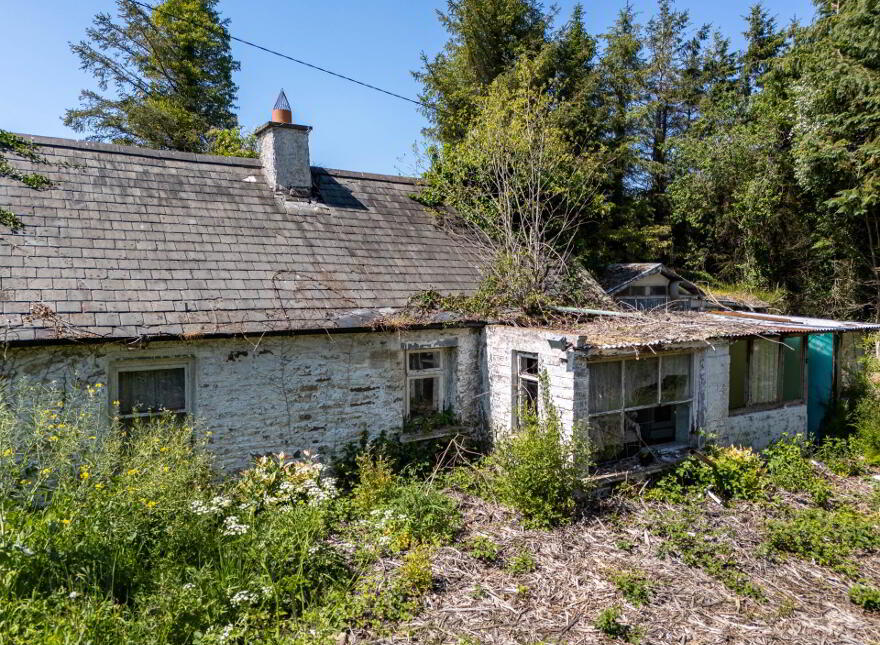 Tinnahinch, Rosenallis