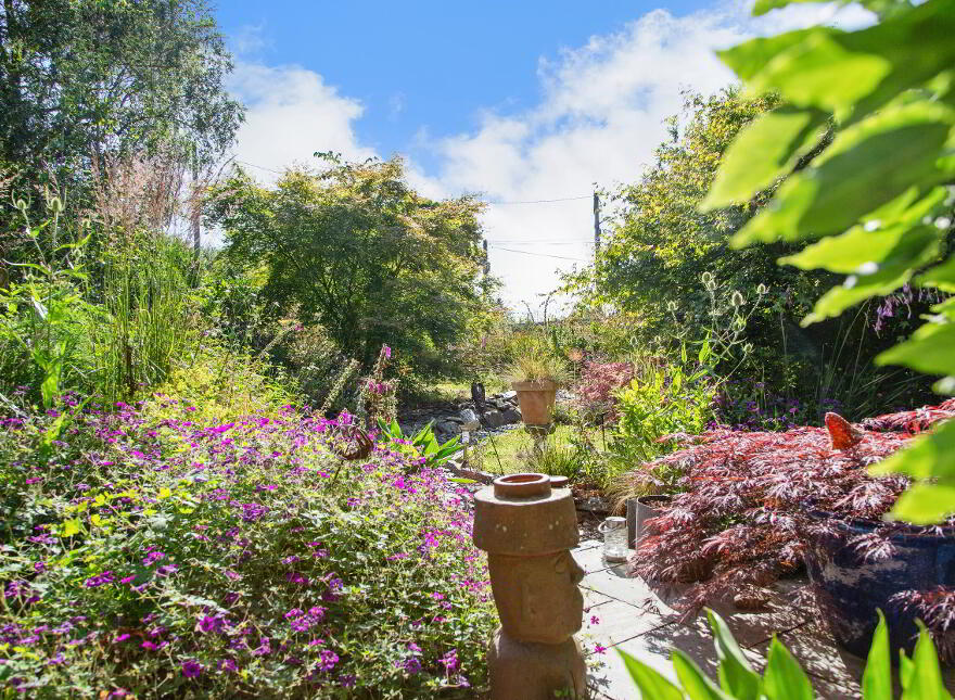 Suaimhneas, Ballinacooley, Glenealy, A67YC59