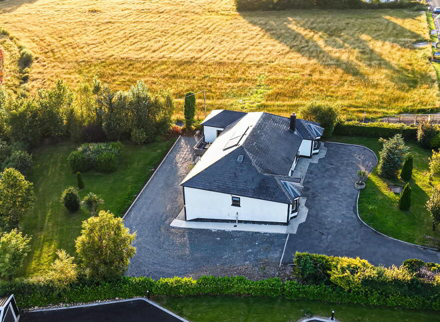 Aoibhneas, Gaigue, Ballinamuck, N39N8X9