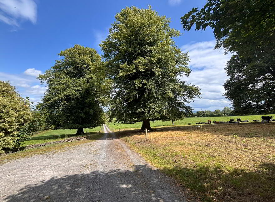 Glenville, Ballydonnell, Mullinahone, E41NV21