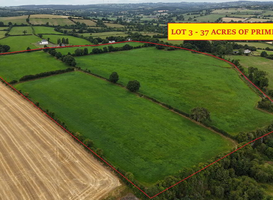 Glenville, Ballydonnell, Mullinahone, E41NV21
