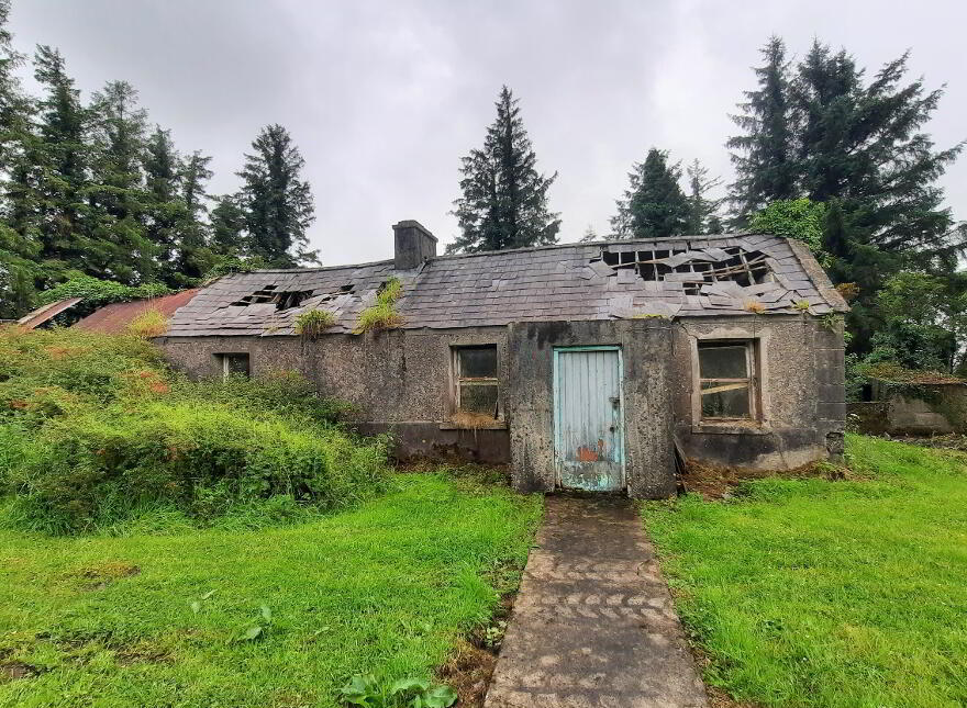 Carrowntavey, Lavagh, F56EY29