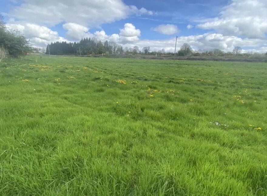 5.3 Acres, Approx Agri Land, Finea photo