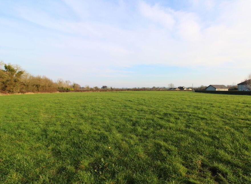 Belleen, Nenagh, E45FV05