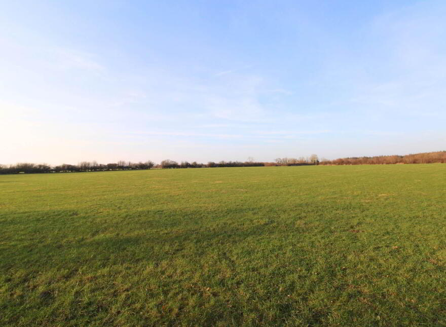 Belleen, Nenagh, E45FV05