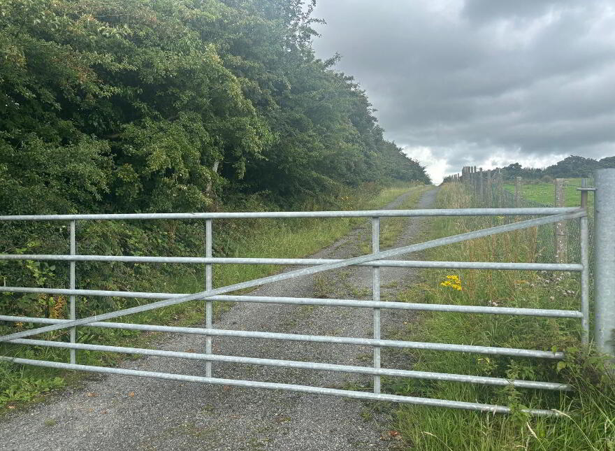 Agricultural Ground, Mountain Road, Newry, BT35 8NJ