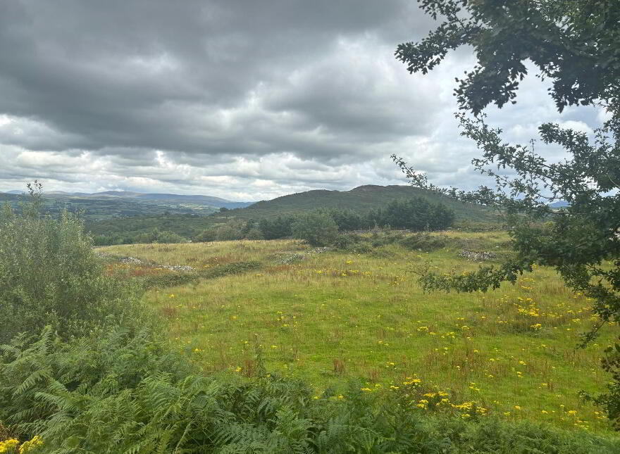 Agricultural Ground, Mountain Road, Newry, BT35 8NJ photo