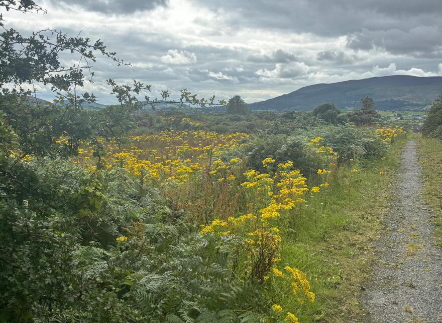 Agricultural Ground, Mountain Road, Newry, BT35 8NJ