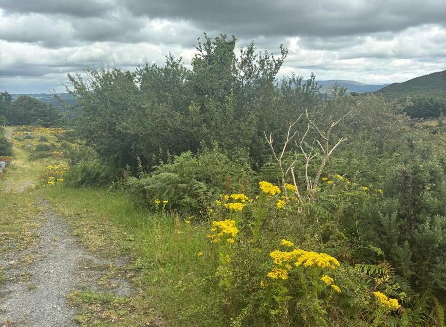 Agricultural Ground, Mountain Road, Newry, BT35 8NJ