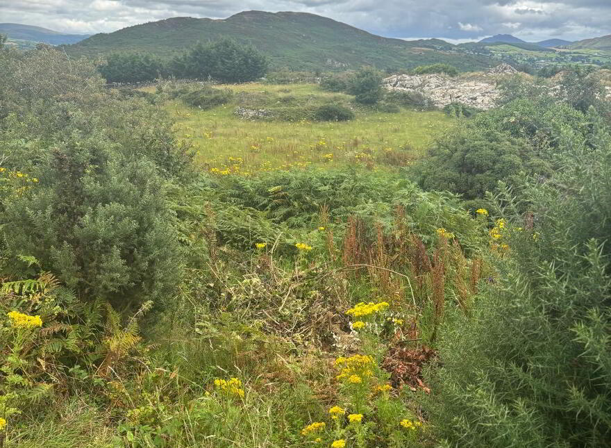 Agricultural Ground, Mountain Road, Newry, BT35 8NJ