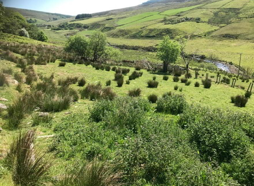 'Carrowoaghtragh', Glenelly Road, Plumbridge, BT79 9LU