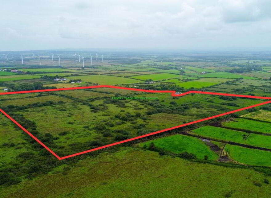 49.35 ACRES AT, TULLAHENNEL 49.35 Acres At Tullahennel NO...North, Ballylongford