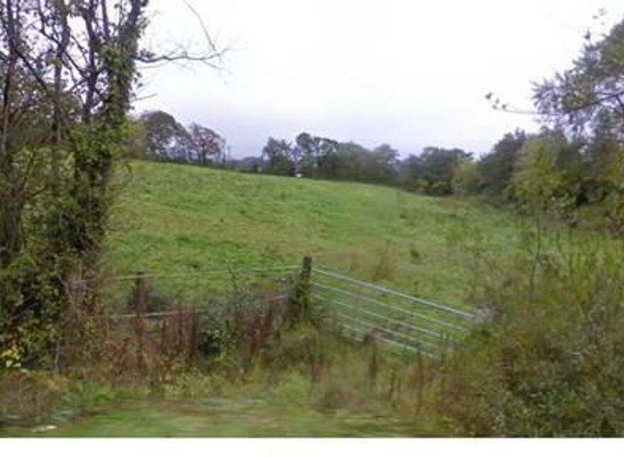 Firville, Mallow