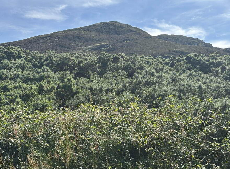 Rashenny, Clonmany