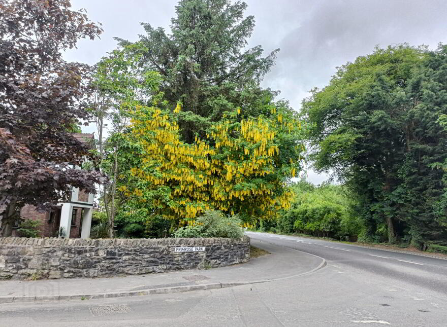 1b Primrose Park, Sion Mills, Strabane, BT82 9QB