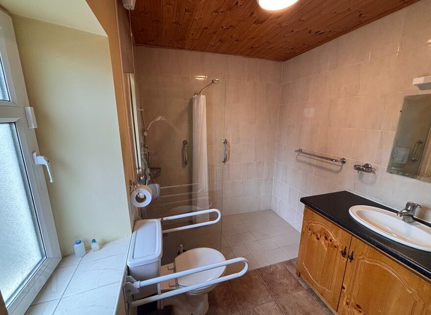 Ballykeeffe, Kilmanagh, R95W5H0