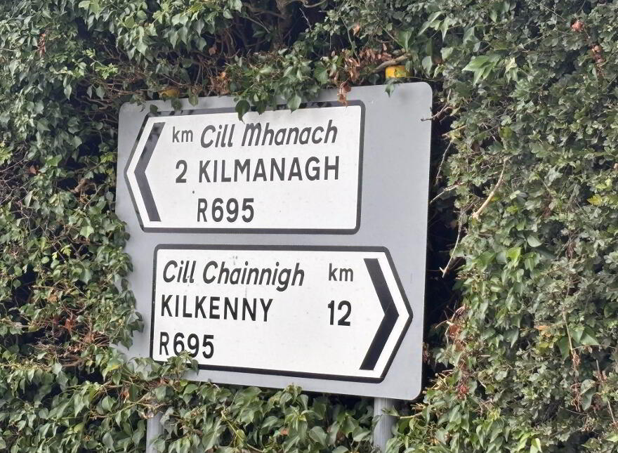 Ballykeeffe, Kilmanagh, R95W5H0