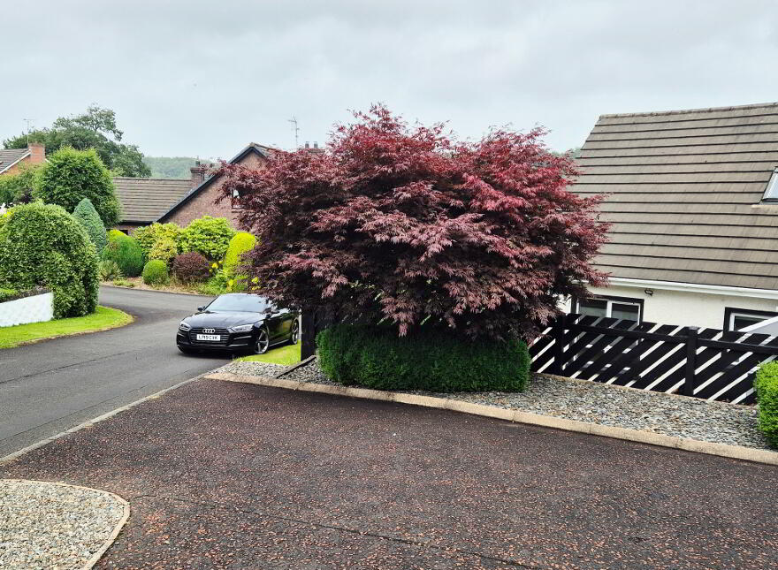 4 The Paddocks, Coleraine, BT51 3PS