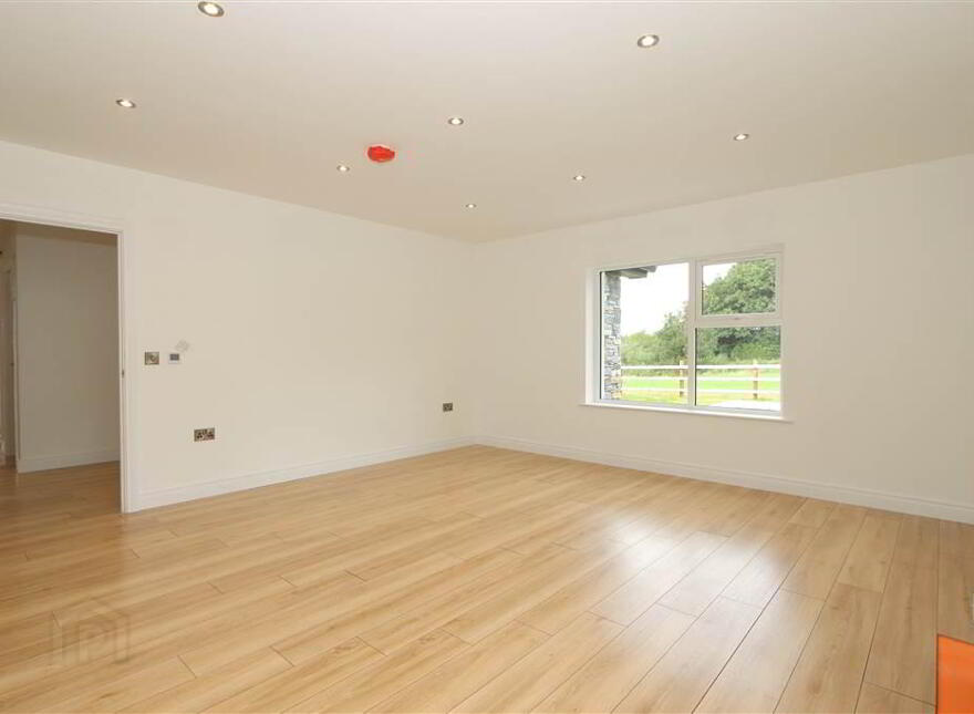 9 Killyleagh Road, Saintfield, BT24 7EJ