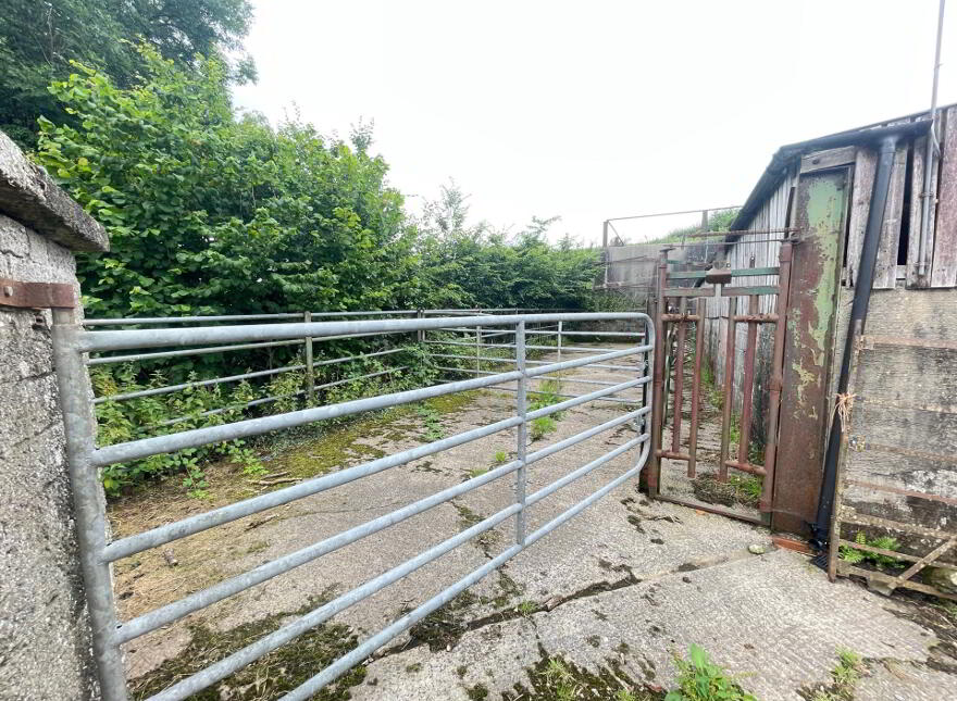 47 Ballylone Road, Ballynahinch, BT24 8XU