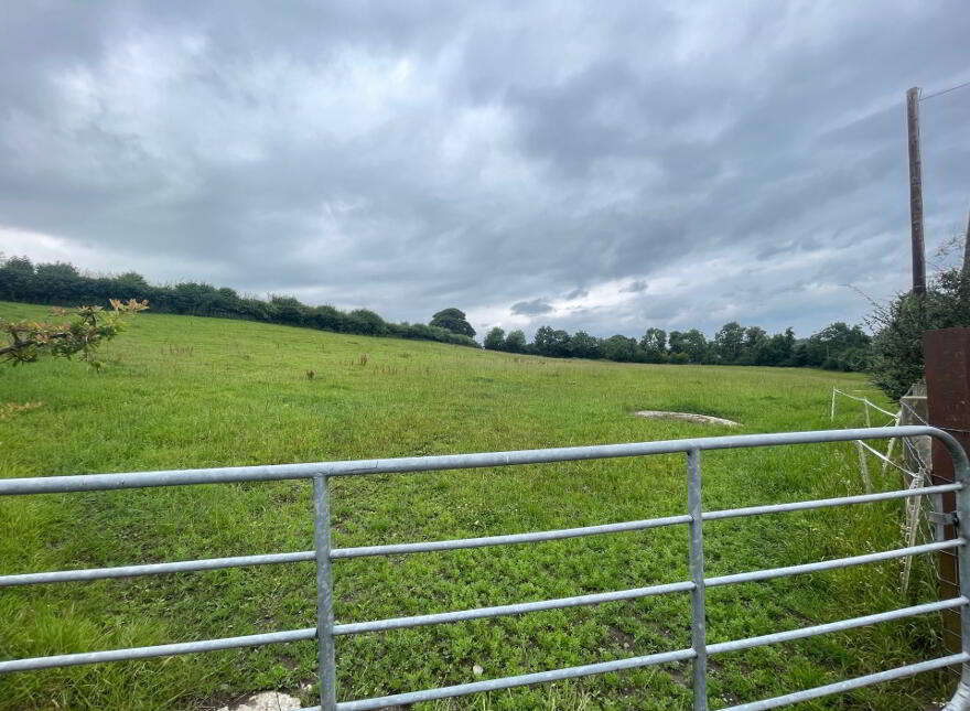 47 Ballylone Road, Ballynahinch, BT24 8XU