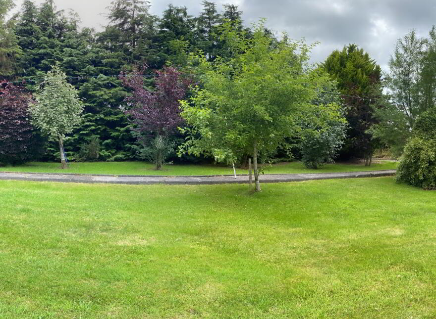 Raheenteige, Tinahely, Y14FX46